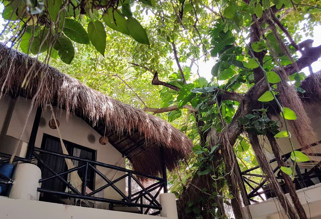 Hotel Club Yebo Playa del Carmen Bagian luar foto